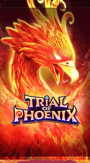 Bí Ẩn Vương Giả